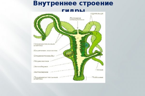 2fa код blacksprut где взять