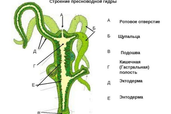 Блэк спрут рабочие зеркала телеграм