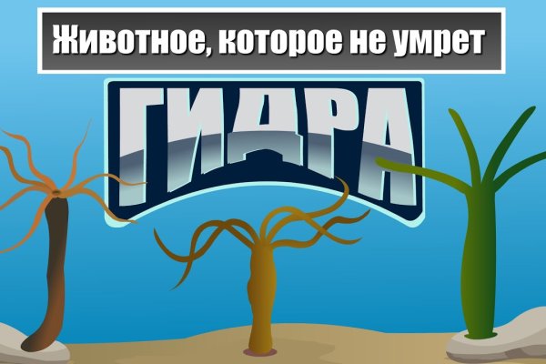 Что такое код аккаунта на блэкспруте